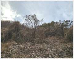  2024Ÿ��107418  �Ӿ߰��