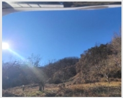  2024Ÿ��107418  �Ӿ߰��