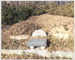  2024Ÿ��107418  �Ӿ߰��