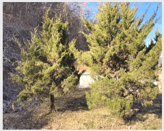  2024Ÿ��107463 �泲 �Ծȱ� ���θ� �԰ 907-4      ����(��1)���