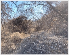  2024Ÿ��107463 �泲 �Ծȱ� ���θ� �԰ 907-4      ����(��1)���