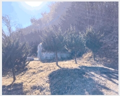  2024Ÿ��107463 �泲 �Ծȱ� ���θ� �԰ 907-4      ����(��1)���