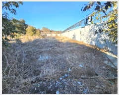  2024Ÿ��364 �泲 �Ծȱ� ĥ���� �뼺�� 319      ����(������)���