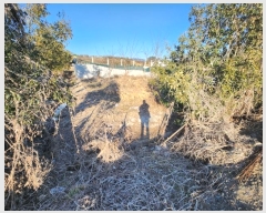  2024Ÿ��364 �泲 �Ծȱ� ĥ���� �뼺�� 319      ����(������)���