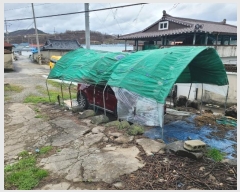  2024Ÿ579 泲 Ծȱ ĥϸ ȭõ 640      ð