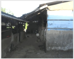  2024Ÿ692 泲 Ծȱ ϸ 븮 356-2      ()