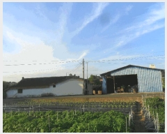  2024Ÿ692 泲 Ծȱ ϸ 븮 356-2      ()