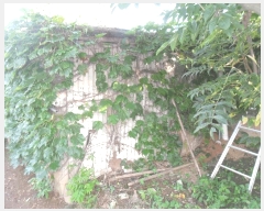  2024Ÿ692 泲 Ծȱ ϸ 븮 356-2      ()