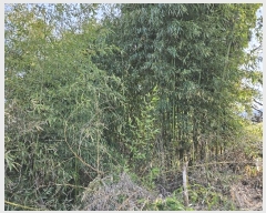  2024Ÿ��746 �泲 �Ծȱ� ĥ�ϸ� �̷ɸ� 45-34      ����(�Ӿ�)���