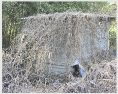  2024Ÿ��746 �泲 �Ծȱ� ĥ�ϸ� �̷ɸ� 45-34      ����(�Ӿ�)���