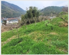  2024Ÿ��746 �泲 �Ծȱ� ĥ�ϸ� �̷ɸ� 45-34      ����(�Ӿ�)���