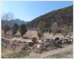  2024Ÿ��807 �泲 â���� ���������� ���ϸ� �߰ 375-3     ����(�Ӿ�)���