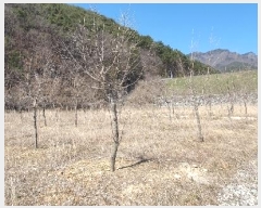  2024Ÿ��807 �泲 â���� ���������� ���ϸ� �߰ 375-3     ����(�Ӿ�)���