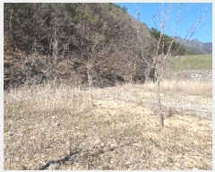  2024Ÿ��807 �泲 â���� ���������� ���ϸ� �߰ 375-3     ����(�Ӿ�)���