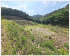  2024Ÿ1473 泲 Ծȱ ϸ  358      (1)