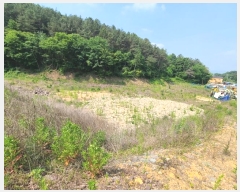  2024Ÿ1473 泲 Ծȱ ϸ  358      (1)