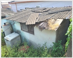  2024Ÿ2278 泲 â  Ͽ 98-3      ð