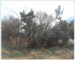  2024Ÿ2872 泲 â   292-1      ()