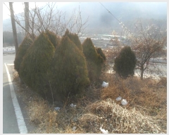  2024Ÿ2872 泲 â   292-1      ()