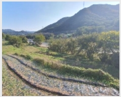  2024Ÿ2872 泲 â   292-1      ()