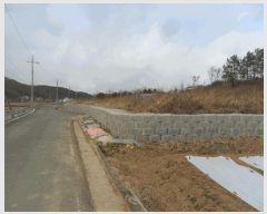  2024Ÿ��2919  �����