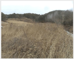  2024Ÿ��2919  �����