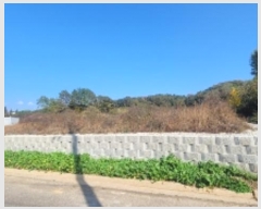  2024Ÿ��2919  �����