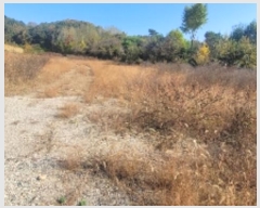  2024Ÿ��2919  �����