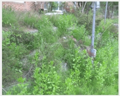  2024Ÿ3318 泲 Ƿɱ  긮 967      ()