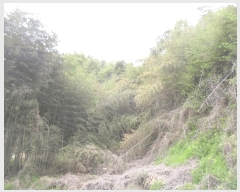  2024Ÿ3318 泲 Ƿɱ  긮 967      ()