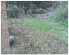  2024Ÿ3318 泲 Ƿɱ  긮 967      ()