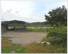  2024Ÿ3318 泲 Ƿɱ  긮 967      ()