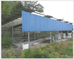  2024Ÿ3318 泲 Ƿɱ  긮 967      ()