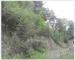  2024Ÿ3318 泲 Ƿɱ  긮 967      ()