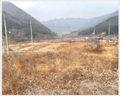  2024Ÿ3363 泲 â   ϸ 1182-3     ()