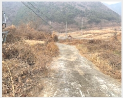  2024Ÿ3363 泲 â   ϸ 1182-3     ()