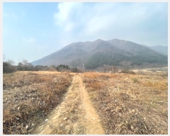  2024Ÿ3363 泲 â   ϸ 1182-3     ()