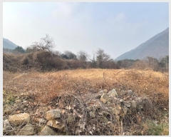  2024Ÿ3363 泲 â   ϸ 1182-3     ()