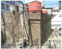  2024Ÿ��100431  ���ð��