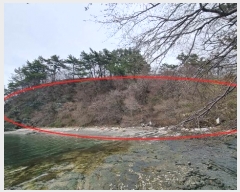  2024Ÿ101182 泲 â    953     (Ӿ)