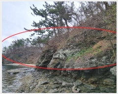  2024Ÿ101182 泲 â    953     (Ӿ)