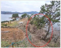  2024Ÿ101182 泲 â    953     (Ӿ)