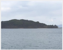  2024Ÿ101182 泲 â    953     (Ӿ)