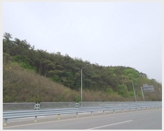  2024Ÿ��101335 �泲 â���� ���������� ����� �ݵ��� ��11-1     ����(�Ӿ�)���