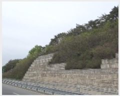  2024Ÿ��101335 �泲 â���� ���������� ����� �ݵ��� ��11-1     ����(�Ӿ�)���