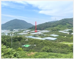  2024Ÿ103157 泲 Ծȱ ĥϸ ̷ɸ 113      ()