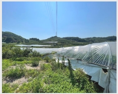  2024Ÿ103157 泲 Ծȱ ĥϸ ̷ɸ 113      ()