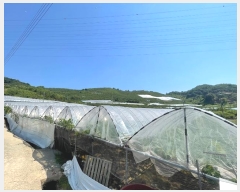  2024Ÿ103157 泲 Ծȱ ĥϸ ̷ɸ 113      ()