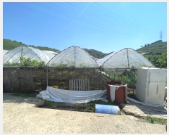  2024Ÿ103157 泲 Ծȱ ĥϸ ̷ɸ 113      ()