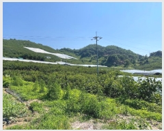  2024Ÿ103157 泲 Ծȱ ĥϸ ̷ɸ 113      ()